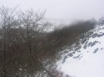 DSCN5739.jpg