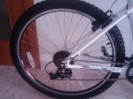 20090307_050.jpg