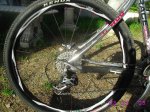 rueda1.jpg