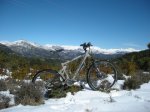 DSCN1433.jpg