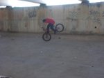 CIMG0007.jpg