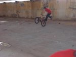 CIMG0010.jpg