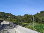 DSC02389.jpg