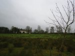 S4010003.jpg