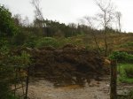 S4010011.jpg