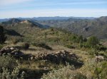 IMG_1932.jpg