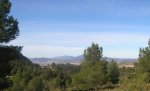 P3078362_resize.jpg