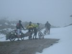 IMG_8385.JPG