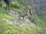 DSCN3825.jpg