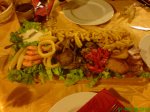 DSC01223.jpg