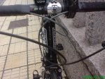 DSC01217.jpg