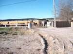 DSCF1049.jpg
