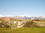 DSC_1193.jpg