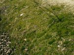 DSC_1196.jpg