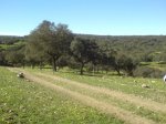 DSC026490019.JPG