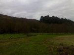 08032009235.jpg
