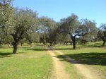 DSC026740043.JPG