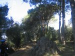 VIC-VILAMAJOR 8-3-2009 004.jpg