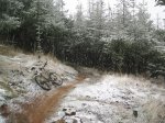 S4010015.jpg
