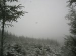 S4010018.jpg