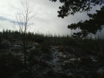 S4010028.jpg