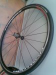 klein 072.jpg