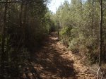 MTB-SMiquel-Ibiza09.jpg