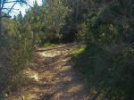 MTB-SMiquel-Ibiza11.jpg