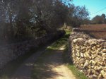 MTB-SMiquel-Ibiza13.jpg