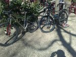 07032009039.jpg
