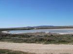 DSC07112.JPG