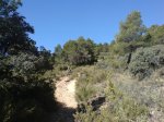 DSC00233.jpg