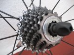 duatlon jerez de los caballeros 008.jpg