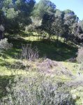 DSC00084.jpg