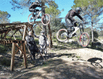 secuencia-freepy.gif