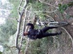 yo arboles.jpg