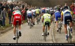 kbk09-drop[1].jpg