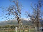 fotos jaÃ±iquin 003.jpg