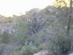 Imagen017.jpg