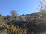 Imagen025.jpg