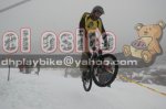 dsc_0040_copiar_566.jpg