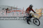dsc_0039_copiar_167.jpg