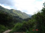 dsc00164.jpg