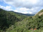 dsc00149.jpg