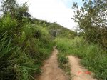 dsc00163.jpg