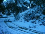 phto0010_115.jpg
