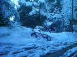 phto0007_194.jpg