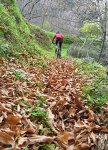 img_4023_1_.jpg