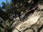 P1030118gerar.JPG
