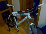 03032009283.jpg